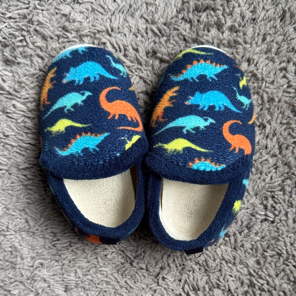 Amazon Kids Dinosaur Slippers - Blue and Multicolor